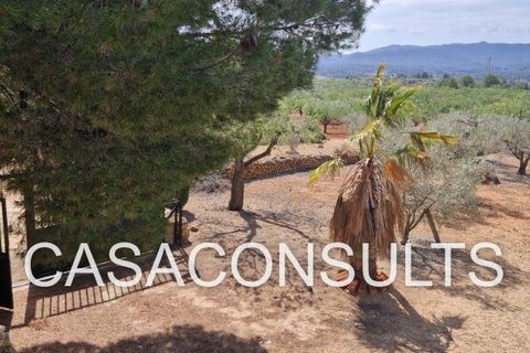 Landejendom i Vilafames, Castellon, Vilafames - € 110.000 | Ref: 818 - foto 15